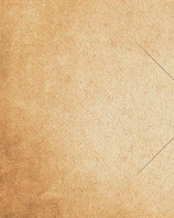 将军每天都在口是心非